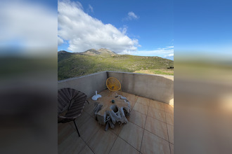 location appartement furiani 20600