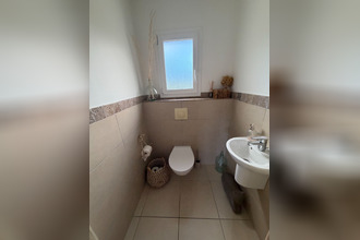 location appartement furiani 20600