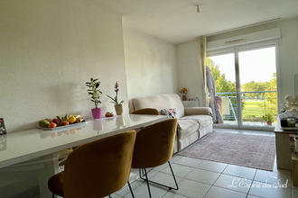 location appartement gaillac 81600