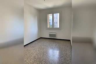 location appartement ghisonaccia 20240
