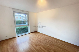 location appartement hegenheim 68220