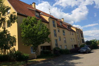 location appartement ingersheim 68040