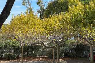 location appartement la-grande-motte 34280