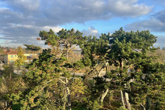 location appartement le-vesinet 78110