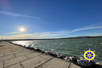 location appartement leucate 11370