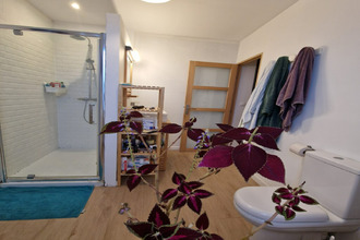 location appartement lille 59800