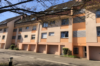 location appartement lingolsheim 67380