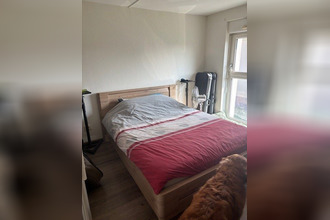 location appartement lingolsheim 67380