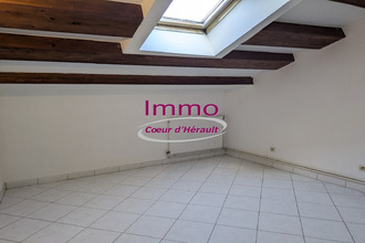 location appartement lodeve 34700