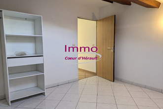 location appartement lodeve 34700