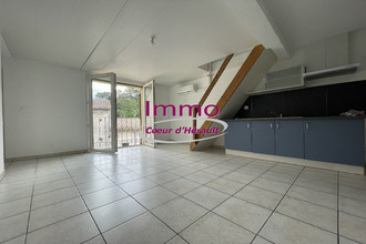 location appartement lodeve 34700