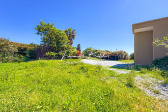 location appartement lucciana 20290