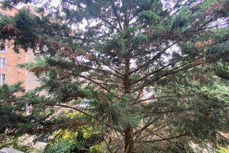 location appartement malakoff 92240