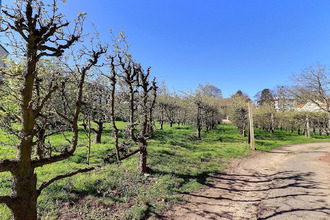 location appartement mareil-marly 78750