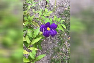 location appartement marly-le-roi 78160