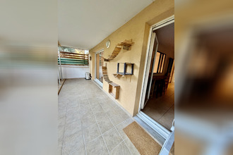 location appartement marseille 13015