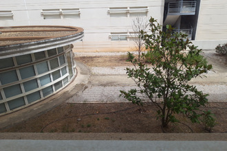 Ma-Cabane - Location Appartement Montpellier, 20 m²