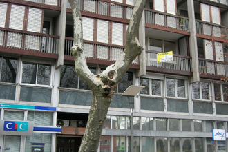 location appartement mtauban 82000