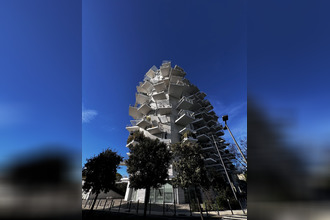 location appartement mtpellier 34000