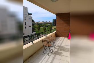 location appartement mtpellier 34000