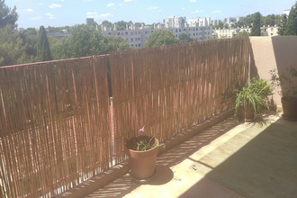 location appartement mtpellier 34070
