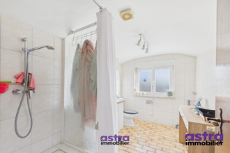 location appartement muespach 68640