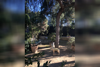 location appartement narbonne 11100