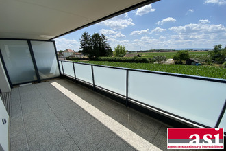 location appartement oberschaeffolsheim 67203