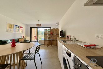 location appartement oletta 20232