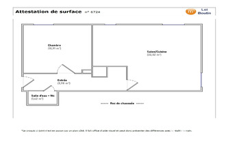 location appartement oullins 69600