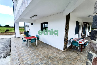 location appartement petit-bg 97170