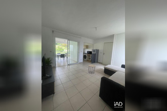 location appartement petit-bg 97170