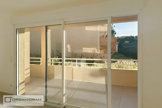 location appartement pietrosella 20166