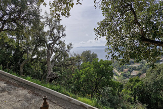 location appartement rayol-canadel-sur-mer 83820