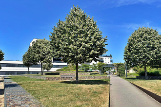 location appartement roanne 42300