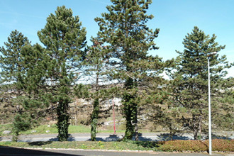 location appartement rodez 12000