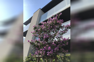 location appartement serignan 34410