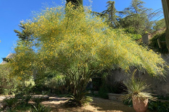 location appartement sete 34200