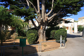 location appartement sete 34200