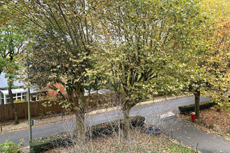 location appartement sevres 92310