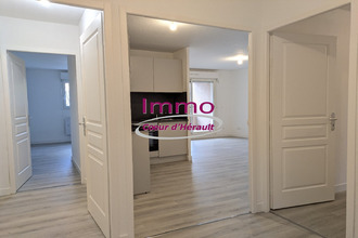 location appartement st-andre-de-sangonis 34725
