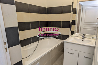 location appartement st-andre-de-sangonis 34725