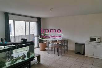 location appartement st-andre-de-sangonis 34725
