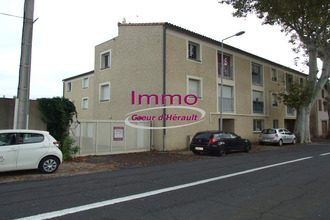 location appartement st-andre-de-sangonis 34725