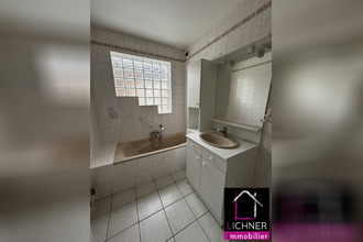 location appartement st-avold 57500