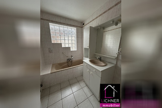 location appartement st-avold 57500