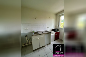 location appartement st-avold 57500