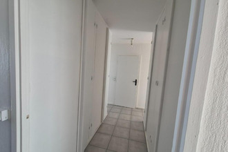 location appartement st-etienne 42100