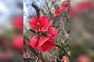 location appartement st-germain-en-laye 78100