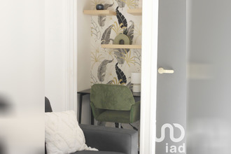 location appartement st-jean 31240